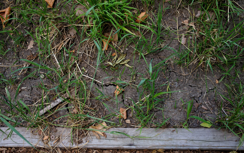 David Bernie Photos Photography Abandoned Coil Serpent Mound Land Art Lawrence Santiago X Chicago Native Art American Indian Center AIC Heather Miller Chicago Public Arts Group CPAG Maryrose Pavkovic Horner Park 4000N Northwest Portage Walking Museum Abandoned