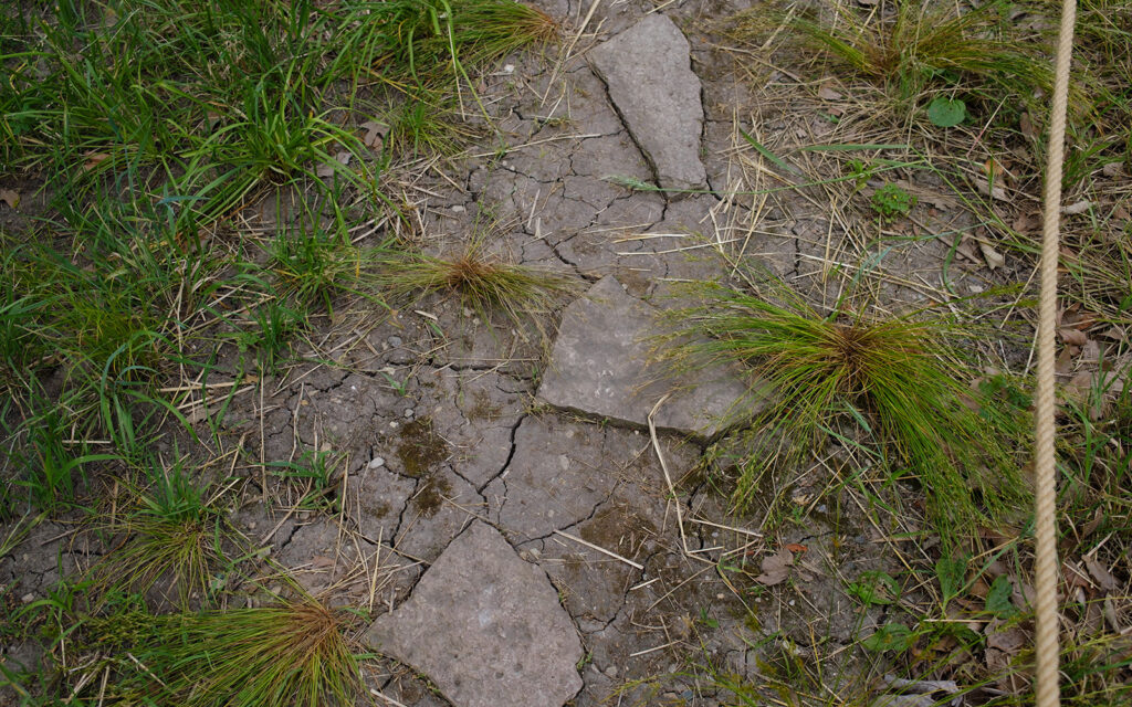 David Bernie Photos Photography Abandoned Coil Serpent Mound Land Art Lawrence Santiago X Chicago Native Art American Indian Center AIC Heather Miller Chicago Public Arts Group CPAG Maryrose Pavkovic Horner Park 4000N Northwest Portage Walking Museum Abandoned