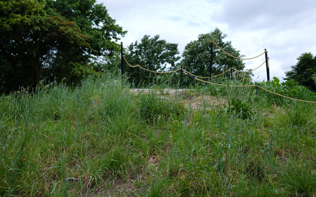 David Bernie Photos Photography Abandoned Coil Serpent Mound Land Art Lawrence Santiago X Chicago Native Art American Indian Center AIC Heather Miller Chicago Public Arts Group CPAG Maryrose Pavkovic Horner Park 4000N Northwest Portage Walking Museum Abandoned