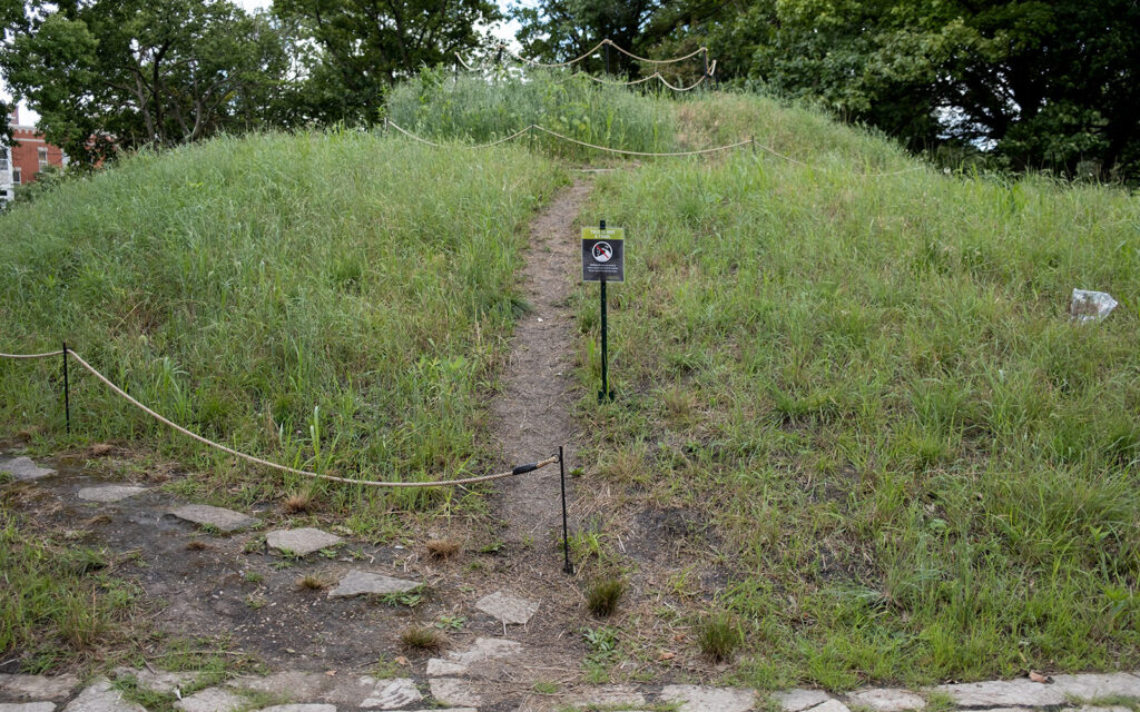 David Bernie Photos Photography Abandoned Coil Serpent Mound Land Art Lawrence Santiago X Chicago Native Art American Indian Center AIC Heather Miller Chicago Public Arts Group CPAG Maryrose Pavkovic Horner Park 4000N Northwest Portage Walking Museum Abandoned