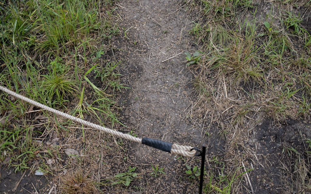 David Bernie Photos Photography Abandoned Coil Serpent Mound Land Art Lawrence Santiago X Chicago Native Art American Indian Center AIC Heather Miller Chicago Public Arts Group CPAG Maryrose Pavkovic Horner Park 4000N Northwest Portage Walking Museum Abandoned