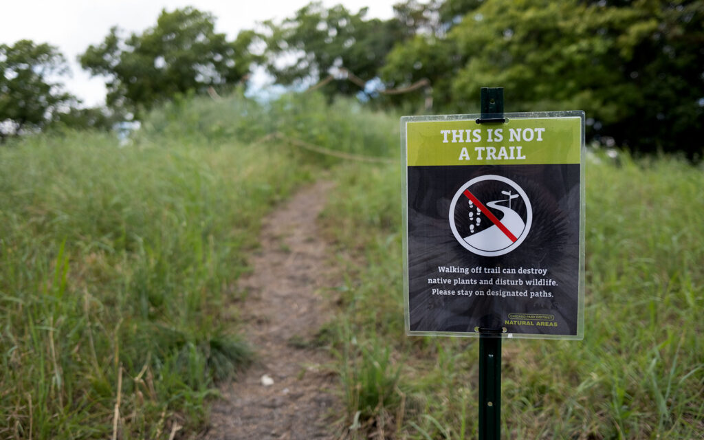 David Bernie Photos Photography Abandoned Coil Serpent Mound Land Art Lawrence Santiago X Chicago Native Art American Indian Center AIC Heather Miller Chicago Public Arts Group CPAG Maryrose Pavkovic Horner Park 4000N Northwest Portage Walking Museum Abandoned