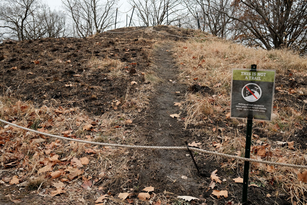 David Bernie Photos Photography Abandoned Coil Serpent Mound Land Art Lawrence Santiago X Chicago Native Art American Indian Center AIC Heather Miller Chicago Public Arts Group CPAG Maryrose Pavkovic Nilay Mistry Horner Park 4000N Northwest Portage Walking Museum Abandoned