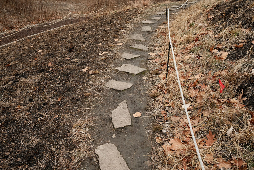 David Bernie Photos Photography Abandoned Coil Serpent Mound Land Art Lawrence Santiago X Chicago Native Art American Indian Center AIC Heather Miller Chicago Public Arts Group CPAG Maryrose Pavkovic Nilay Mistry Horner Park 4000N Northwest Portage Walking Museum Abandoned