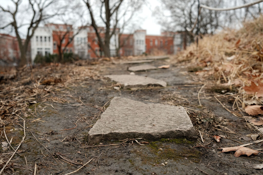 David Bernie Photos Photography Abandoned Coil Serpent Mound Land Art Lawrence Santiago X Chicago Native Art American Indian Center AIC Heather Miller Chicago Public Arts Group CPAG Maryrose Pavkovic Nilay Mistry Horner Park 4000N Northwest Portage Walking Museum Abandoned