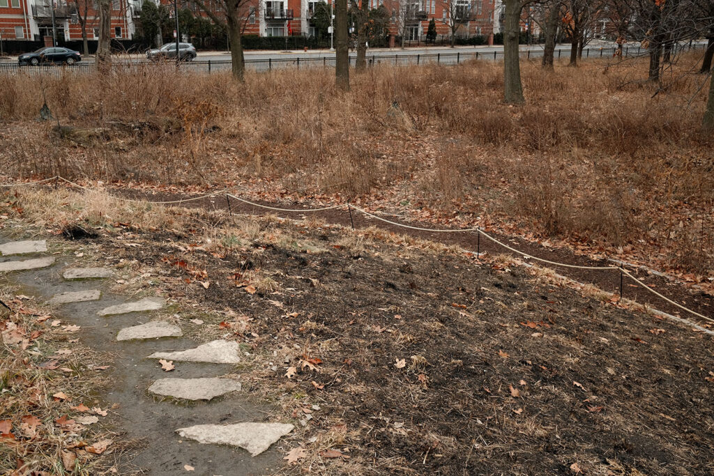 David Bernie Photos Photography Abandoned Coil Serpent Mound Land Art Lawrence Santiago X Chicago Native Art American Indian Center AIC Heather Miller Chicago Public Arts Group CPAG Maryrose Pavkovic Nilay Mistry Horner Park 4000N Northwest Portage Walking Museum Abandoned