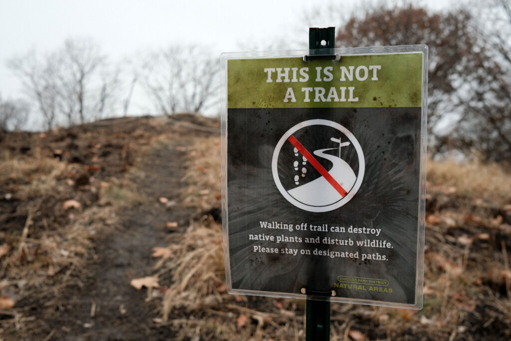 David Bernie Photos Photography Abandoned Coil Serpent Mound Land Art Lawrence Santiago X Chicago Native Art American Indian Center AIC Heather Miller Chicago Public Arts Group CPAG Maryrose Pavkovic Nilay Mistry Horner Park 4000N Northwest Portage Walking Museum Abandoned