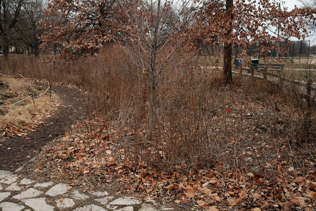 David Bernie Photos Photography Abandoned Coil Serpent Mound Land Art Lawrence Santiago X Chicago Native Art American Indian Center AIC Heather Miller Chicago Public Arts Group CPAG Maryrose Pavkovic Nilay Mistry Horner Park 4000N Northwest Portage Walking Museum Abandoned