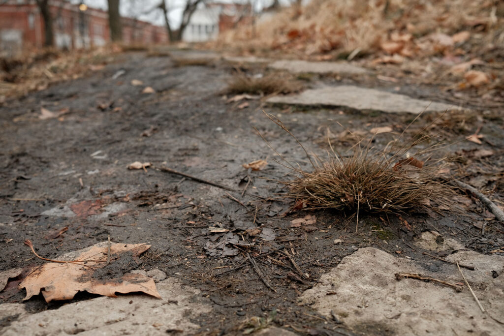 David Bernie Photos Photography Abandoned Coil Serpent Mound Land Art Lawrence Santiago X Chicago Native Art American Indian Center AIC Heather Miller Chicago Public Arts Group CPAG Maryrose Pavkovic Nilay Mistry Horner Park 4000N Northwest Portage Walking Museum Abandoned