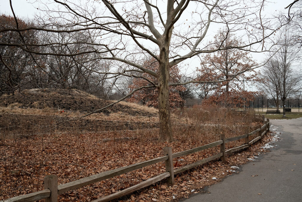 David Bernie Photos Photography Abandoned Coil Serpent Mound Land Art Lawrence Santiago X Chicago Native Art American Indian Center AIC Heather Miller Chicago Public Arts Group CPAG Maryrose Pavkovic Nilay Mistry Horner Park 4000N Northwest Portage Walking Museum Abandoned