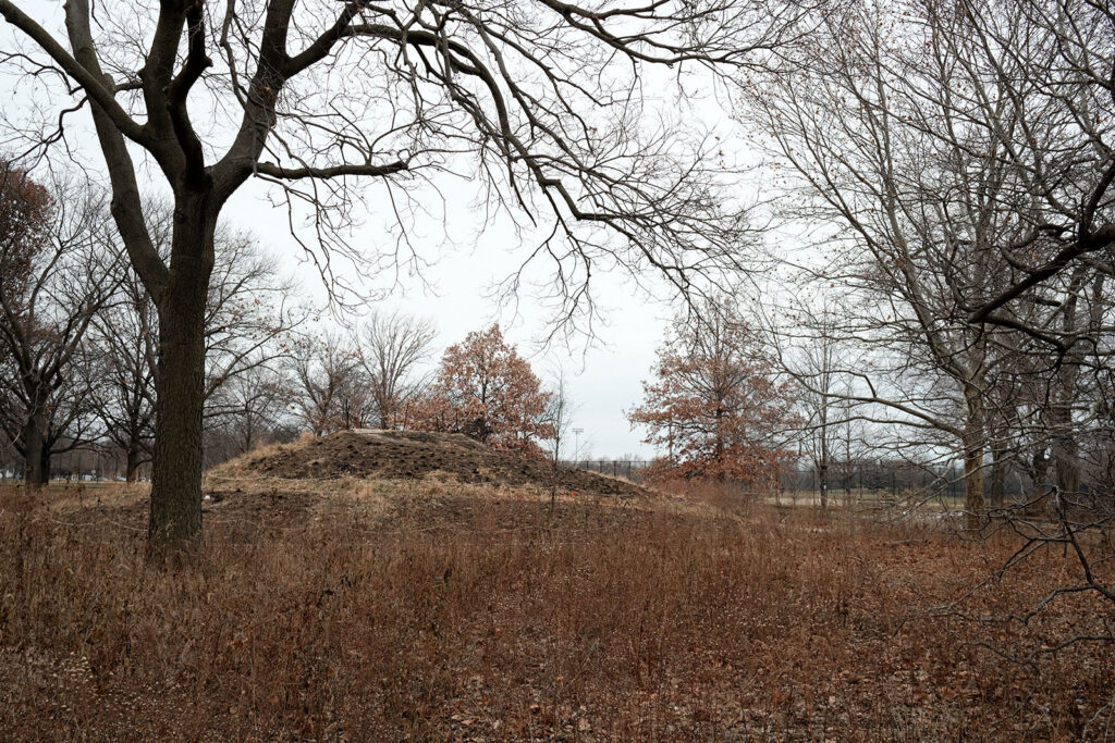 David Bernie Photos Photography Abandoned Coil Serpent Mound Land Art Lawrence Santiago X Chicago Native Art American Indian Center AIC Heather Miller Chicago Public Arts Group CPAG Maryrose Pavkovic Nilay Mistry Horner Park 4000N Northwest Portage Walking Museum Abandoned