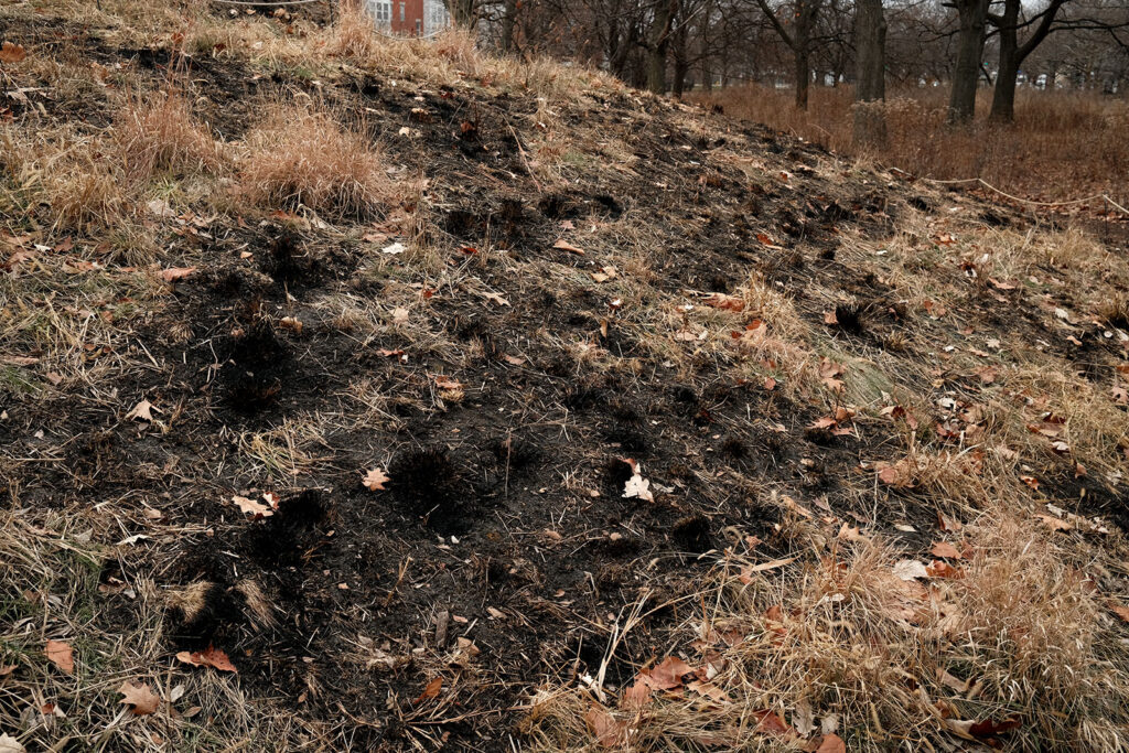 David Bernie Photos Photography Abandoned Coil Serpent Mound Land Art Lawrence Santiago X Chicago Native Art American Indian Center AIC Heather Miller Chicago Public Arts Group CPAG Maryrose Pavkovic Nilay Mistry Horner Park 4000N Northwest Portage Walking Museum Abandoned