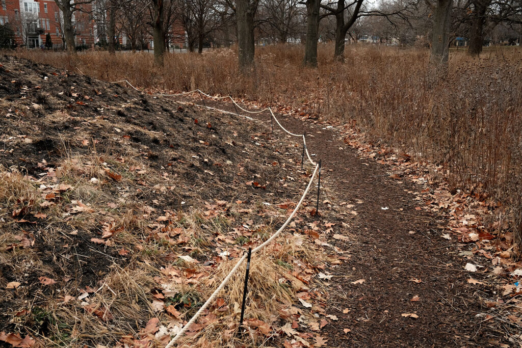 David Bernie Photos Photography Abandoned Coil Serpent Mound Land Art Lawrence Santiago X Chicago Native Art American Indian Center AIC Heather Miller Chicago Public Arts Group CPAG Maryrose Pavkovic Nilay Mistry Horner Park 4000N Northwest Portage Walking Museum Abandoned