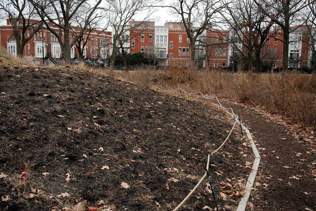 David Bernie Photos Photography Abandoned Coil Serpent Mound Land Art Lawrence Santiago X Chicago Native Art American Indian Center AIC Heather Miller Chicago Public Arts Group CPAG Maryrose Pavkovic Nilay Mistry Horner Park 4000N Northwest Portage Walking Museum Abandoned