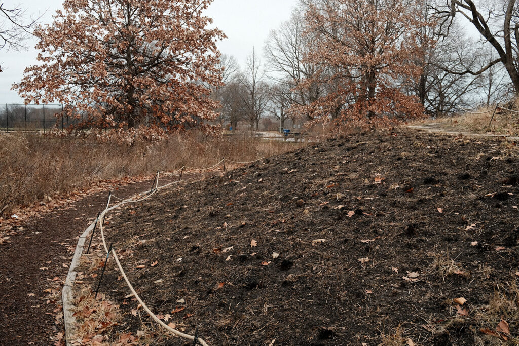 David Bernie Photos Photography Abandoned Coil Serpent Mound Land Art Lawrence Santiago X Chicago Native Art American Indian Center AIC Heather Miller Chicago Public Arts Group CPAG Maryrose Pavkovic Nilay Mistry Horner Park 4000N Northwest Portage Walking Museum Abandoned