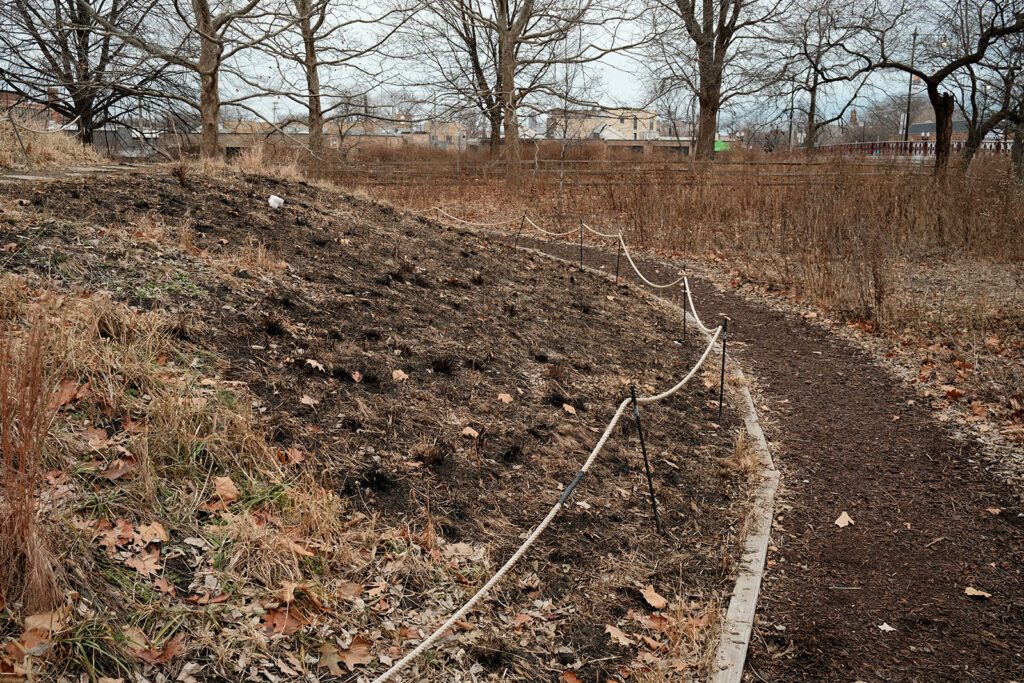 David Bernie Photos Photography Abandoned Coil Serpent Mound Land Art Lawrence Santiago X Chicago Native Art American Indian Center AIC Heather Miller Chicago Public Arts Group CPAG Maryrose Pavkovic Nilay Mistry Horner Park 4000N Northwest Portage Walking Museum Abandoned