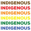 David Bernie Art Posters Print Chicago Native American Indian Indigenous LGBTQIA+