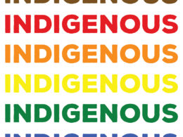 David Bernie Art Posters Print Chicago Native American Indian Indigenous LGBTQIA+