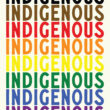 David Bernie Art Posters Print Chicago Native American Indian Indigenous LGBTQIA+ Two Spirit