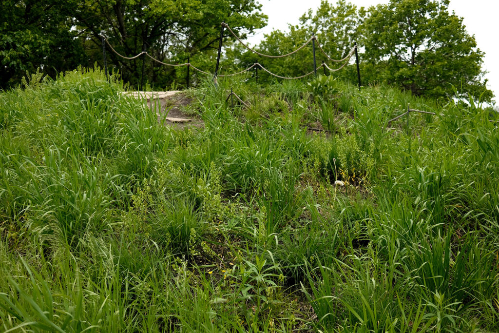 David Bernie Photos Photography Abandoned Coil Serpent Mound Land Art Lawrence Santiago X Chicago Native Art American Indian Center AIC Heather Miller Chicago Public Arts Group CPAG Maryrose Pavkovic Nilay Mistry Horner Park 4000N Northwest Portage Walking Museum Abandoned