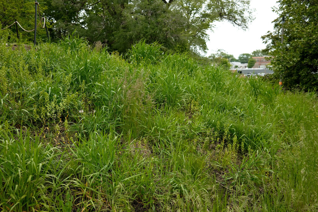 David Bernie Photos Photography Abandoned Coil Serpent Mound Land Art Lawrence Santiago X Chicago Native Art American Indian Center AIC Heather Miller Chicago Public Arts Group CPAG Maryrose Pavkovic Nilay Mistry Horner Park 4000N Northwest Portage Walking Museum Abandoned