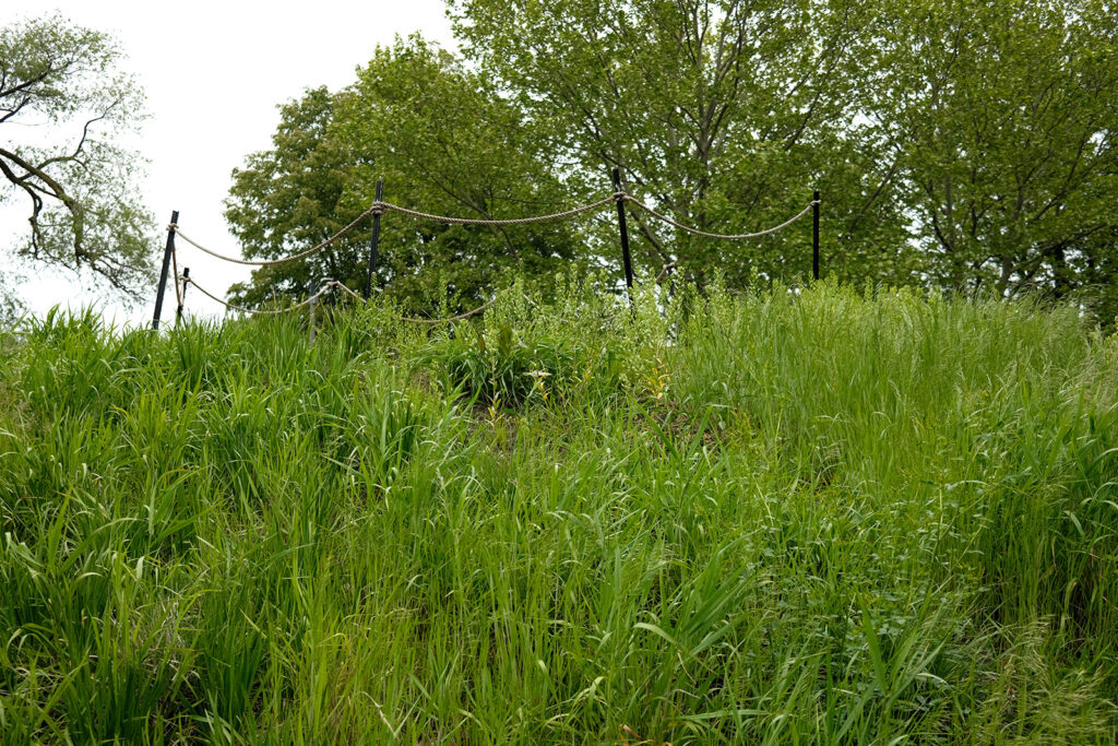 David Bernie Photos Photography Abandoned Coil Serpent Mound Land Art Lawrence Santiago X Chicago Native Art American Indian Center AIC Heather Miller Chicago Public Arts Group CPAG Maryrose Pavkovic Nilay Mistry Horner Park 4000N Northwest Portage Walking Museum Abandoned