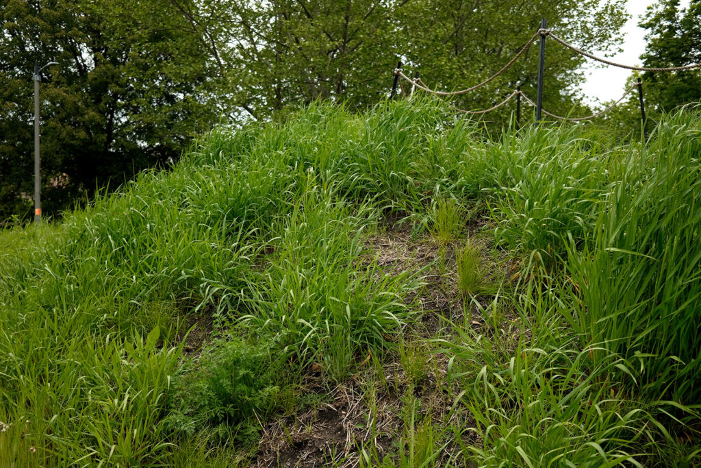 David Bernie Photos Photography Abandoned Coil Serpent Mound Land Art Lawrence Santiago X Chicago Native Art American Indian Center AIC Heather Miller Chicago Public Arts Group CPAG Maryrose Pavkovic Nilay Mistry Horner Park 4000N Northwest Portage Walking Museum Abandoned