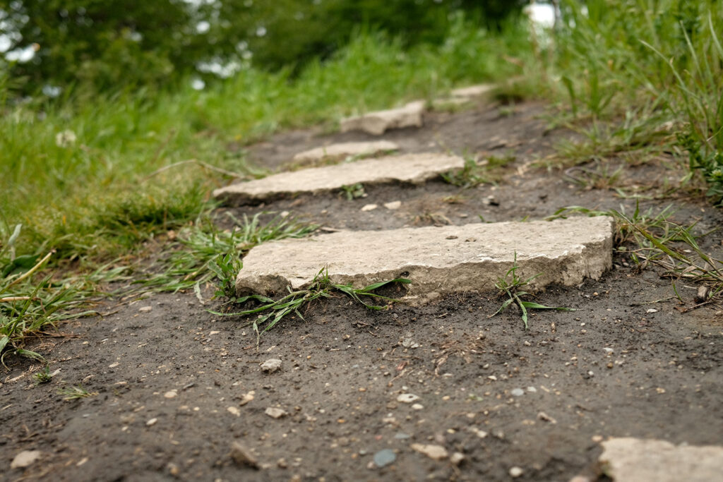 David Bernie Photos Photography Abandoned Coil Serpent Mound Land Art Lawrence Santiago X Chicago Native Art American Indian Center AIC Heather Miller Chicago Public Arts Group CPAG Maryrose Pavkovic Nilay Mistry Horner Park 4000N Northwest Portage Walking Museum Abandoned