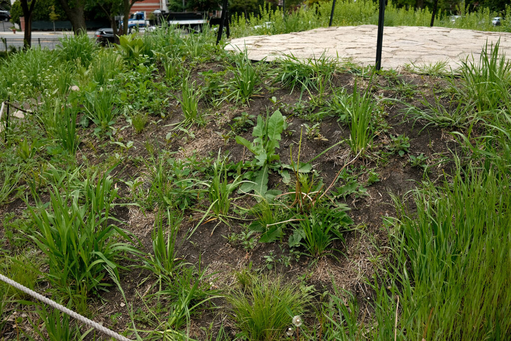 David Bernie Photos Photography Abandoned Coil Serpent Mound Land Art Lawrence Santiago X Chicago Native Art American Indian Center AIC Heather Miller Chicago Public Arts Group CPAG Maryrose Pavkovic Nilay Mistry Horner Park 4000N Northwest Portage Walking Museum Abandoned