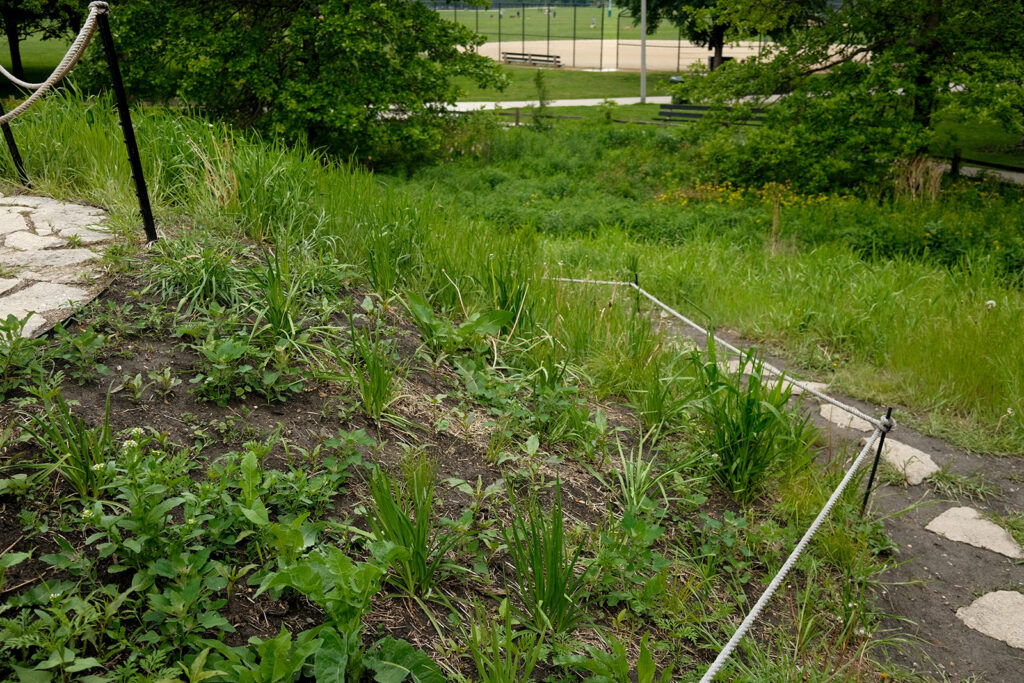 David Bernie Photos Photography Abandoned Coil Serpent Mound Land Art Lawrence Santiago X Chicago Native Art American Indian Center AIC Heather Miller Chicago Public Arts Group CPAG Maryrose Pavkovic Nilay Mistry Horner Park 4000N Northwest Portage Walking Museum Abandoned