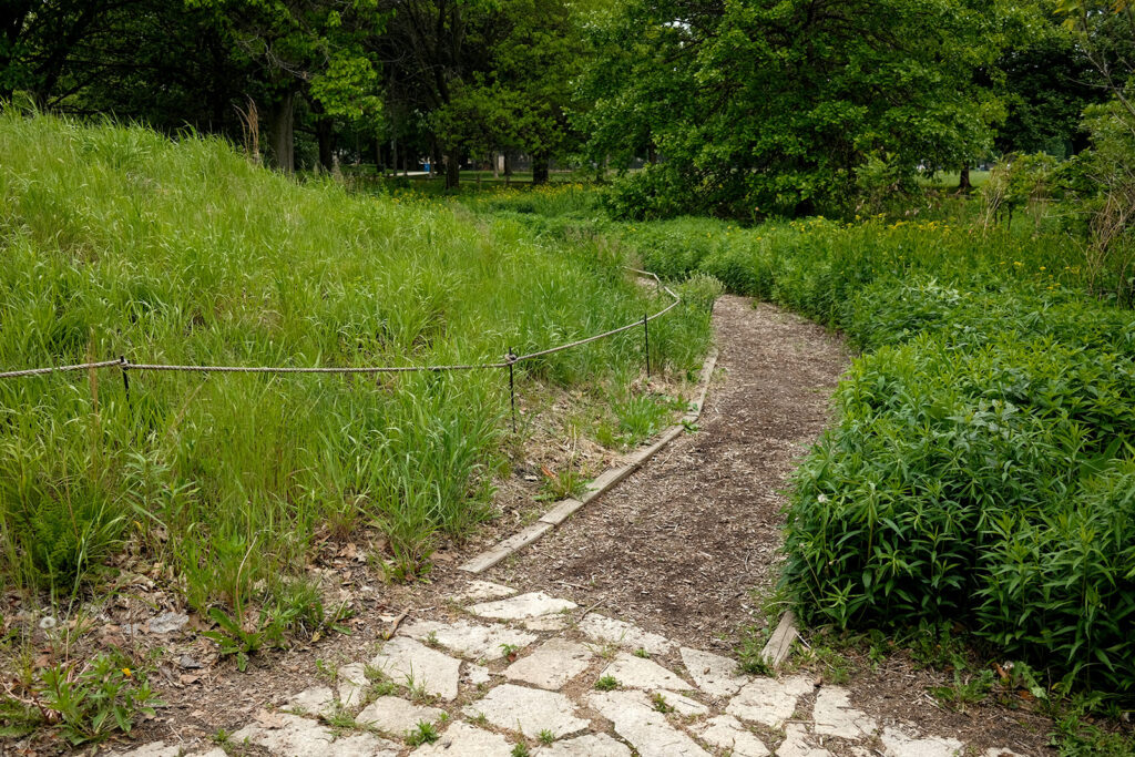 David Bernie Photos Photography Abandoned Coil Serpent Mound Land Art Lawrence Santiago X Chicago Native Art American Indian Center AIC Heather Miller Chicago Public Arts Group CPAG Maryrose Pavkovic Nilay Mistry Horner Park 4000N Northwest Portage Walking Museum Abandoned