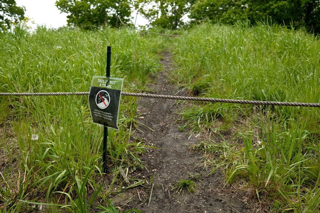 David Bernie Photos Photography Abandoned Coil Serpent Mound Land Art Lawrence Santiago X Chicago Native Art American Indian Center AIC Heather Miller Chicago Public Arts Group CPAG Maryrose Pavkovic Nilay Mistry Horner Park 4000N Northwest Portage Walking Museum Abandoned