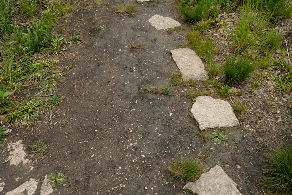 David Bernie Photos Photography Abandoned Coil Serpent Mound Land Art Lawrence Santiago X Chicago Native Art American Indian Center AIC Heather Miller Chicago Public Arts Group CPAG Maryrose Pavkovic Nilay Mistry Horner Park 4000N Northwest Portage Walking Museum Abandoned