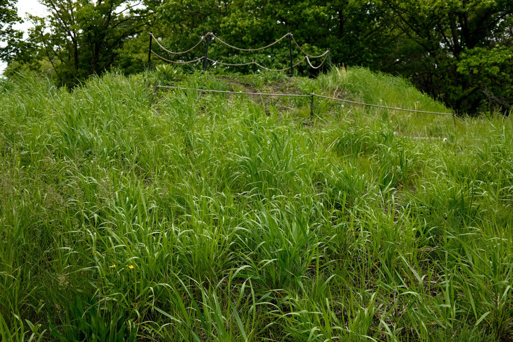 David Bernie Photos Photography Abandoned Coil Serpent Mound Land Art Lawrence Santiago X Chicago Native Art American Indian Center AIC Heather Miller Chicago Public Arts Group CPAG Maryrose Pavkovic Nilay Mistry Horner Park 4000N Northwest Portage Walking Museum Abandoned