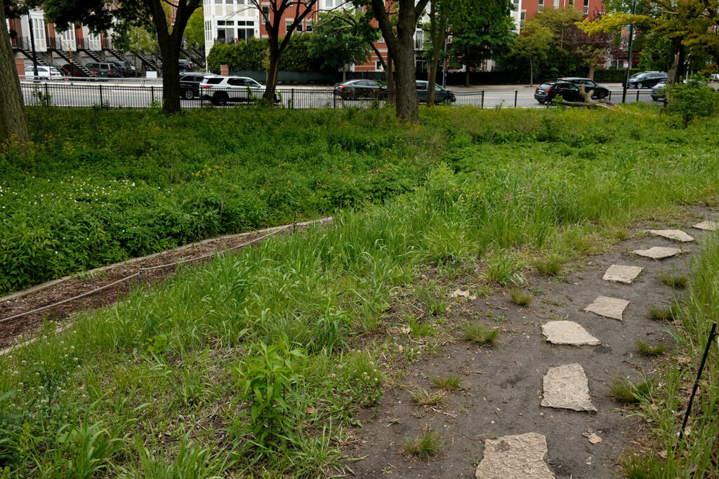David Bernie Photos Photography Abandoned Coil Serpent Mound Land Art Lawrence Santiago X Chicago Native Art American Indian Center AIC Heather Miller Chicago Public Arts Group CPAG Maryrose Pavkovic Nilay Mistry Horner Park 4000N Northwest Portage Walking Museum Abandoned