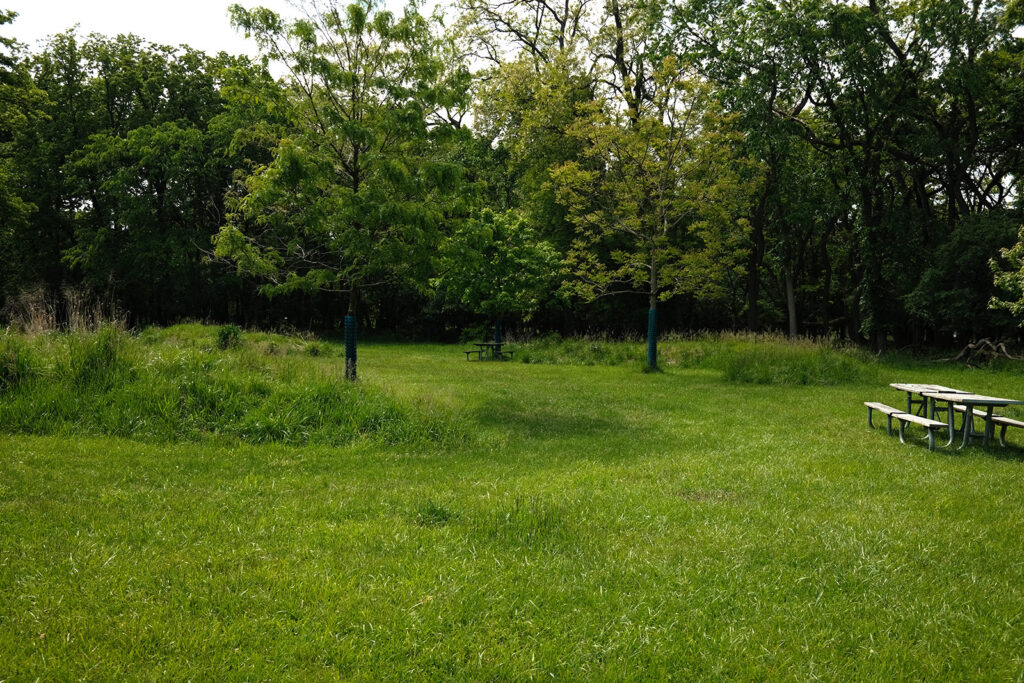 David Bernie Photos Photography Abandoned Twin Serpent Mounds Lawrence Santiago X Chicago Native Art American Indian Center AIC Heather Miller Chicago Public Arts Group CPAG Maryrose Pavkovic Schiller Woods 4000N Northwest Portage Walking Museum Abandoned