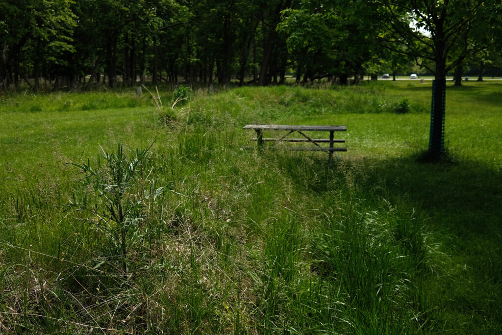 David Bernie Photos Photography Abandoned Twin Serpent Mounds Lawrence Santiago X Chicago Native Art American Indian Center AIC Heather Miller Chicago Public Arts Group CPAG Maryrose Pavkovic Schiller Woods 4000N Northwest Portage Walking Museum Abandoned