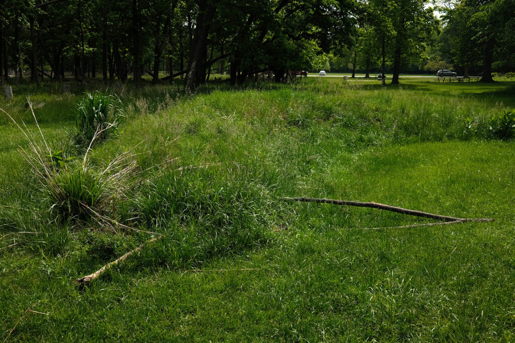 David Bernie Photos Photography Abandoned Twin Serpent Mounds Lawrence Santiago X Chicago Native Art American Indian Center AIC Heather Miller Chicago Public Arts Group CPAG Maryrose Pavkovic Schiller Woods 4000N Northwest Portage Walking Museum Abandoned