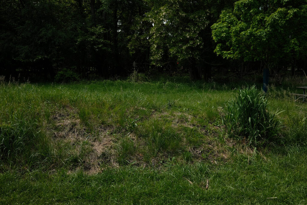 David Bernie Photos Photography Abandoned Twin Serpent Mounds Lawrence Santiago X Chicago Native Art American Indian Center AIC Heather Miller Chicago Public Arts Group CPAG Maryrose Pavkovic Schiller Woods 4000N Northwest Portage Walking Museum Abandoned