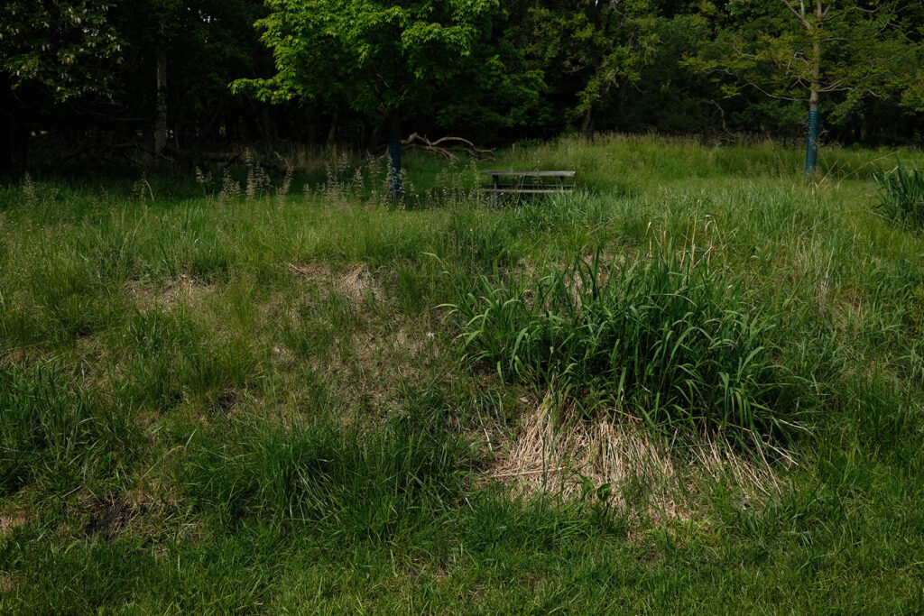 David Bernie Photos Photography Abandoned Twin Serpent Mounds Lawrence Santiago X Chicago Native Art American Indian Center AIC Heather Miller Chicago Public Arts Group CPAG Maryrose Pavkovic Schiller Woods 4000N Northwest Portage Walking Museum Abandoned