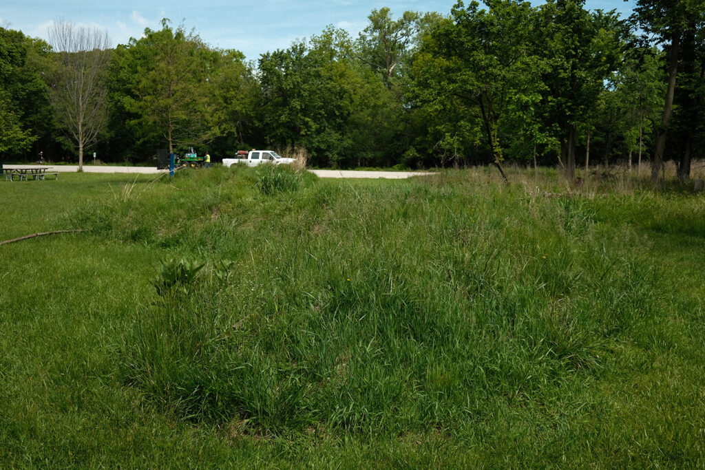 David Bernie Photos Photography Abandoned Twin Serpent Mounds Lawrence Santiago X Chicago Native Art American Indian Center AIC Heather Miller Chicago Public Arts Group CPAG Maryrose Pavkovic Schiller Woods 4000N Northwest Portage Walking Museum Abandoned
