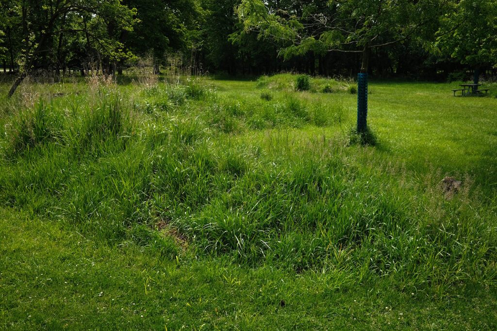 David Bernie Photos Photography Abandoned Twin Serpent Mounds Lawrence Santiago X Chicago Native Art American Indian Center AIC Heather Miller Chicago Public Arts Group CPAG Maryrose Pavkovic Schiller Woods 4000N Northwest Portage Walking Museum Abandoned