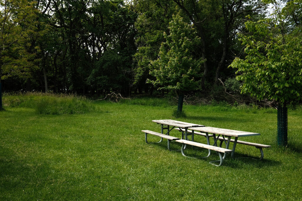 David Bernie Photos Photography Abandoned Twin Serpent Mounds Lawrence Santiago X Chicago Native Art American Indian Center AIC Heather Miller Chicago Public Arts Group CPAG Maryrose Pavkovic Schiller Woods 4000N Northwest Portage Walking Museum Abandoned