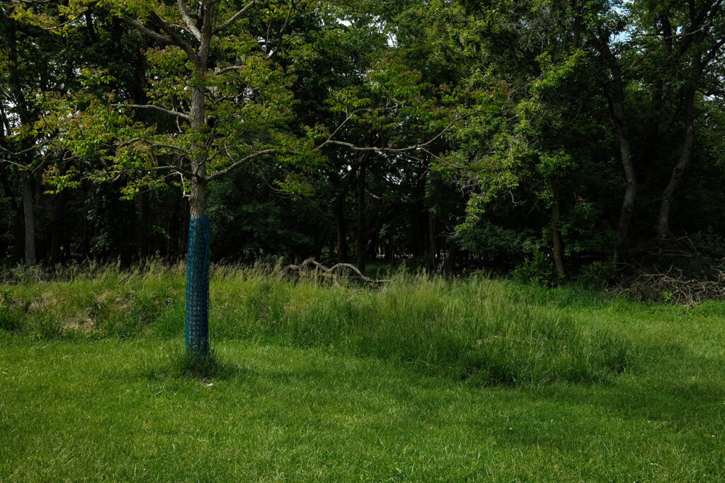 David Bernie Photos Photography Abandoned Twin Serpent Mounds Lawrence Santiago X Chicago Native Art American Indian Center AIC Heather Miller Chicago Public Arts Group CPAG Maryrose Pavkovic Schiller Woods 4000N Northwest Portage Walking Museum Abandoned