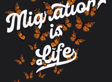 David Bernie Poster Print World News Migration is Life