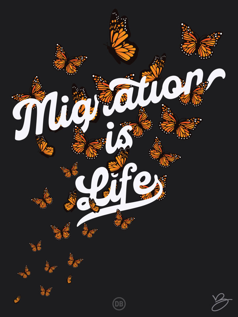 David Bernie Poster Print World News Migration is Life
