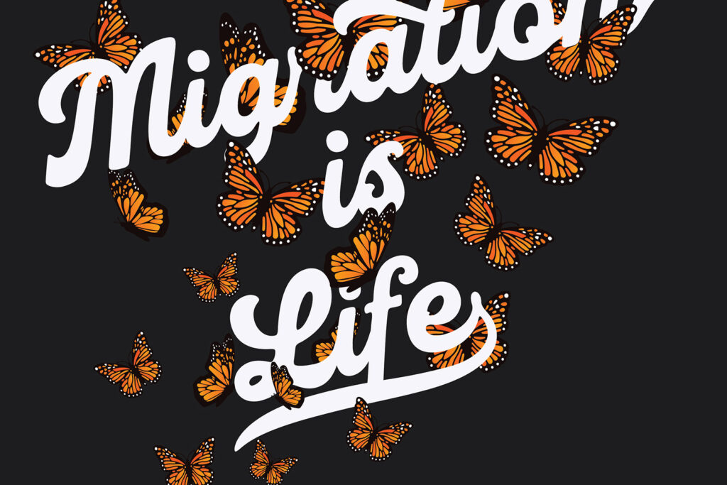 David Bernie Poster Print World News Migration is Life